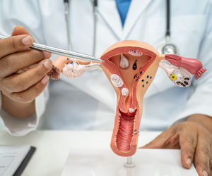 Понятие хронического эндометрита