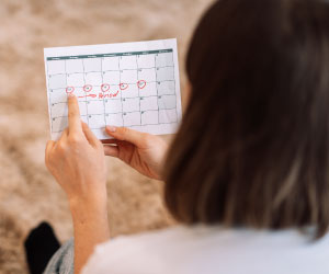 Менструальний цикл