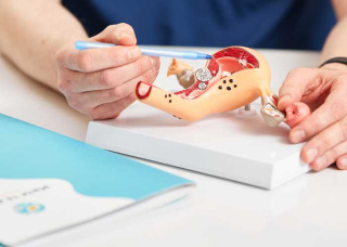 Беременность при двурогой матке