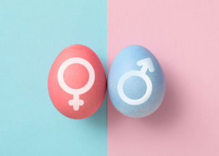 Как вычислить пол ребенка до зачатия