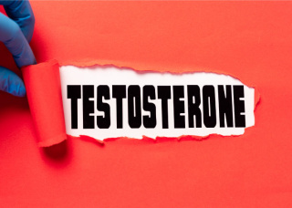 Роль тестостерона в организме и его важность для мужского здоровья