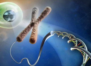 Синдром Клайнфельтера: причины, признаки и лечение