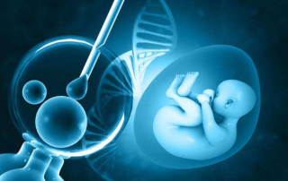 Як діяти у разі відмови на ЕКЗ за програмою НСЗУ